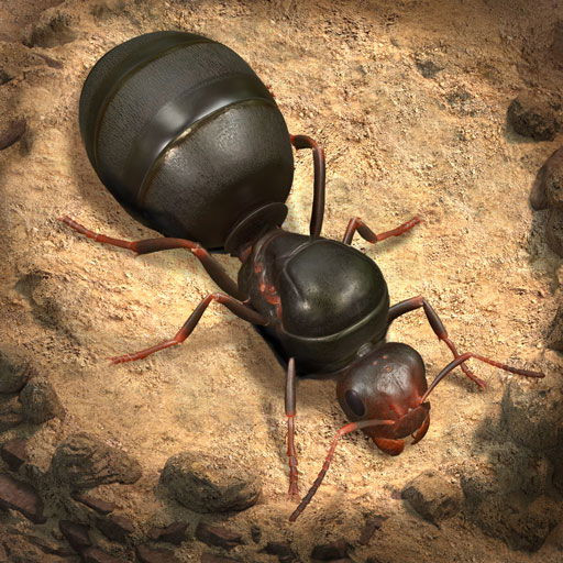 The Ants : Underground Kingdom